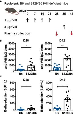 Neutralizing Antibodies Against Factor VIII Can Occur Through a Non-Germinal Center Pathway